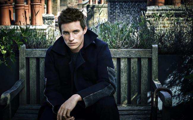 Обои картинки фото eddie redmayne, мужчины, eddie, redmayne