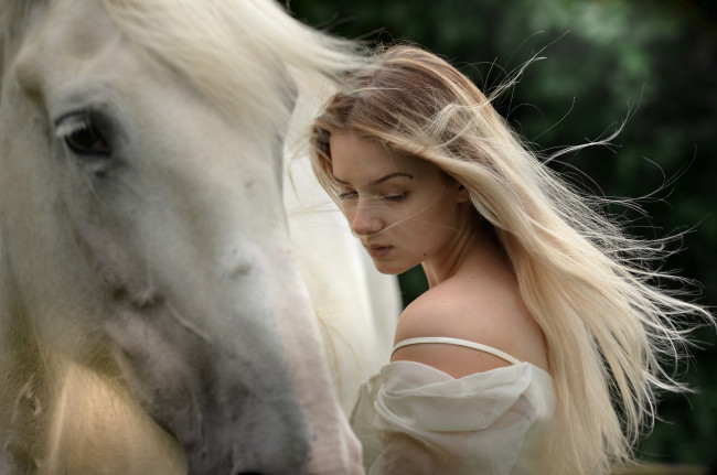 Обои картинки фото девушки, - блондинки,  светловолосые, белая, лошадь, девушка, блондинка