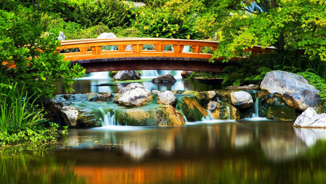 Обои картинки фото japanese garden, vienna, austria, природа, парк, japanese, garden