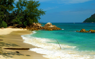 Картинка praslin seychelles природа побережье