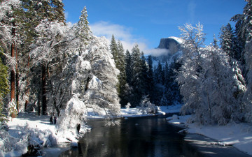 Картинка природа зима