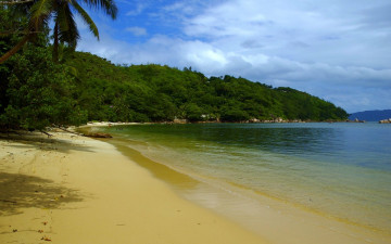 Картинка seychelles природа побережье