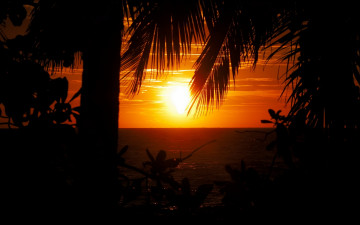 обоя seychelles, sunset, природа, восходы, закаты