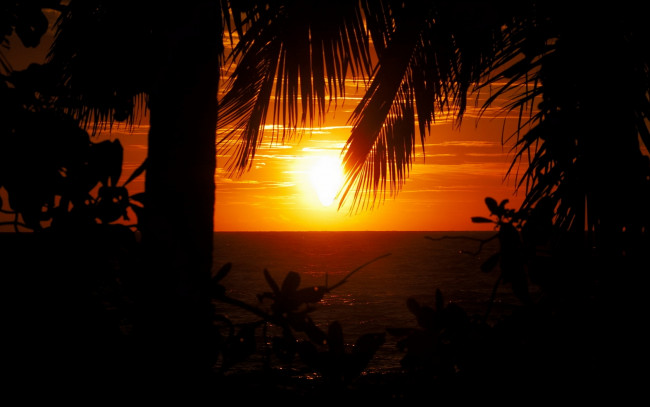 Обои картинки фото seychelles, sunset, природа, восходы, закаты