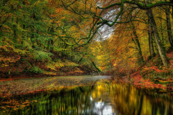Картинка природа реки озера пейзаж лес деревья осен nature river landscape forest trees autumn scenery view