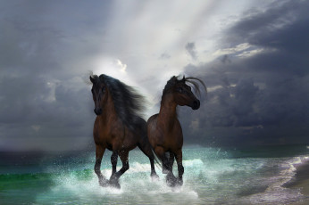 Картинка 3д+графика животные+ animals вода брызги лошади
