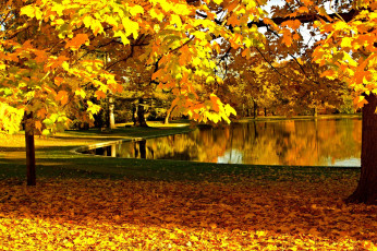 Картинка природа реки озера nature sky river water forest park trees leaves colorful autumn fall colors walk листья осень деревья лес парк горы небо река вода