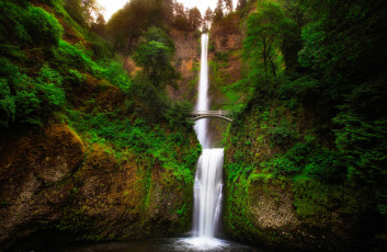 Картинка природа водопады пейзаж мост multnomah usa oregon деревья зелень орегон ущелье скала поток малтнома река водопад