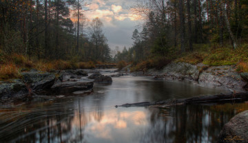 Картинка природа реки озера река лес отражение деревья