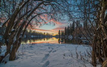 Картинка природа зима ветки деревья следы снег пейзаж небо