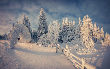Картинка природа зима winter nature snow tree снег деревья