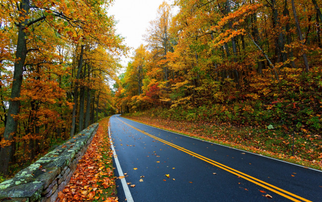 Обои картинки фото природа, дороги, colors, fall, path, autumn, road, colorful, leaves, mountain, trees, nature, дорога, осень, листья, walk