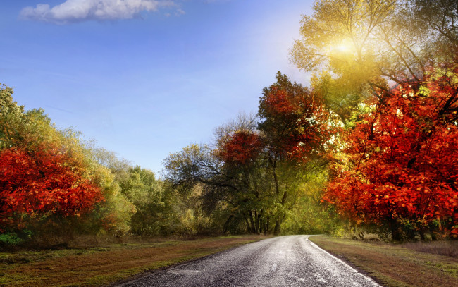 Обои картинки фото природа, дороги, небо, лучи, листья, красочно, осень, пейзаж, дорога
