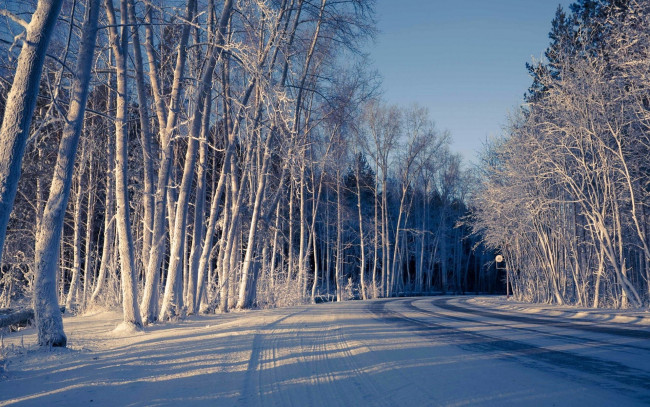 Обои картинки фото природа, зима, снег, дорога, деревья