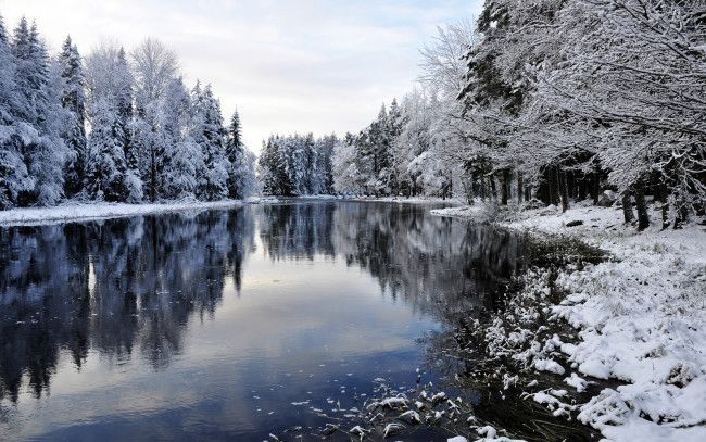 Обои картинки фото природа, зима, снег, snow, landscape, winter, деревья, река
