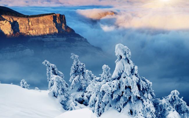 Обои картинки фото природа, зима, snow, landscape, winter, снег, елки, солнце, горы