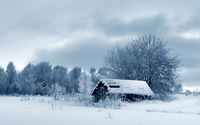 Обои картинки фото природа, зима, snow, nature, winter, избушка, деревья, снег, tree