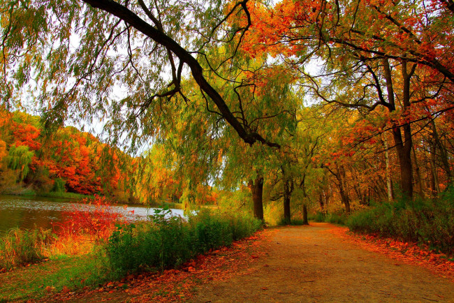 Обои картинки фото природа, дороги, river, landscape, scenery, view, autumn, осен, деревья, лес, trees, forest, nature, пейзаж