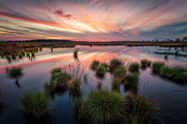 Обои картинки фото природа, восходы, закаты, трава, река, горизонт, заря