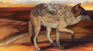 Картинка рисованное животные +волки фон взгляд волк