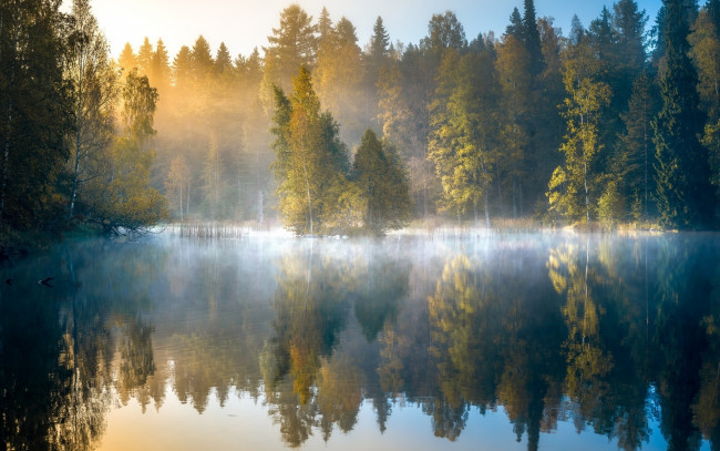 Обои картинки фото природа, реки, озера, осень, лес, утро, озеро, туман