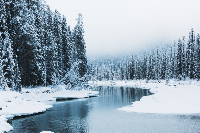 Обои картинки фото природа, реки, озера, лес, река, зима