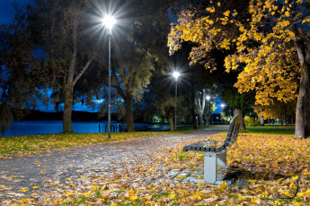 Картинка природа парк аллея осень листопад вечер