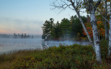 Картинка природа реки озера река лес туман