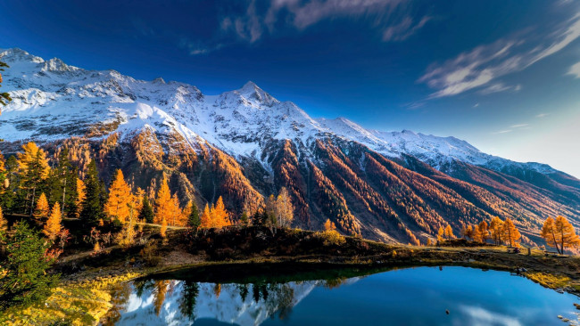 Обои картинки фото black lake, bernese alps, switzerland, природа, реки, озера, black, lake, bernese, alps