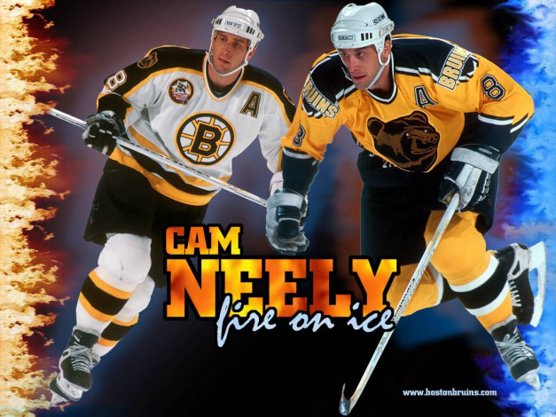 Обои картинки фото neely, спорт, nhl