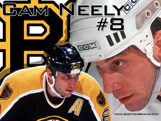 Обои картинки фото neely, спорт, nhl