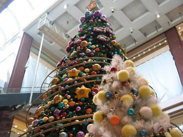 Обои картинки фото christmas, trees, big, and, small, праздничные, Ёлки