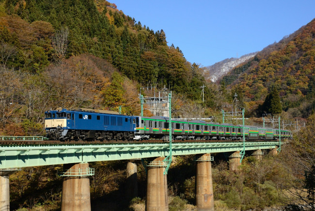 Обои картинки фото техника, поезда, мост, поезд