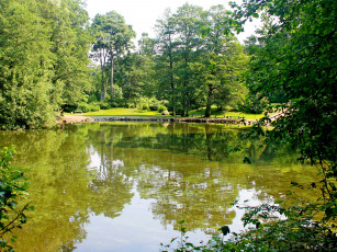 Картинка литва паланга botanical park природа парк водоем растения