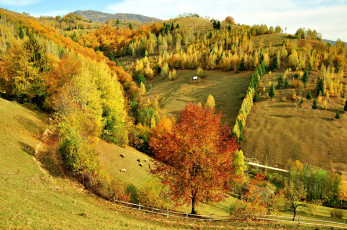 Картинка природа пейзажи пейзаж поля осень