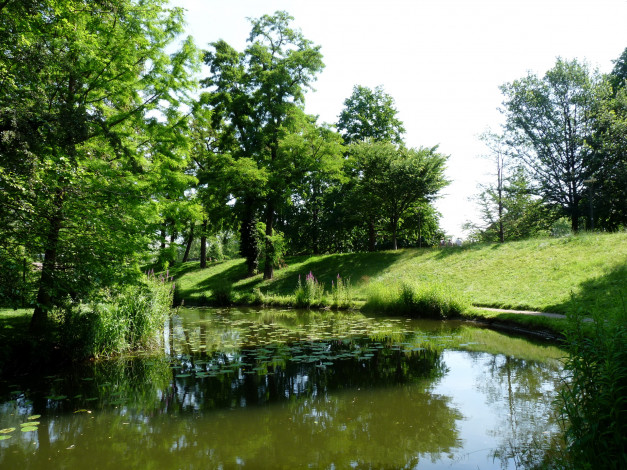 Обои картинки фото strasbourg, природа, парк, водоем, деревья