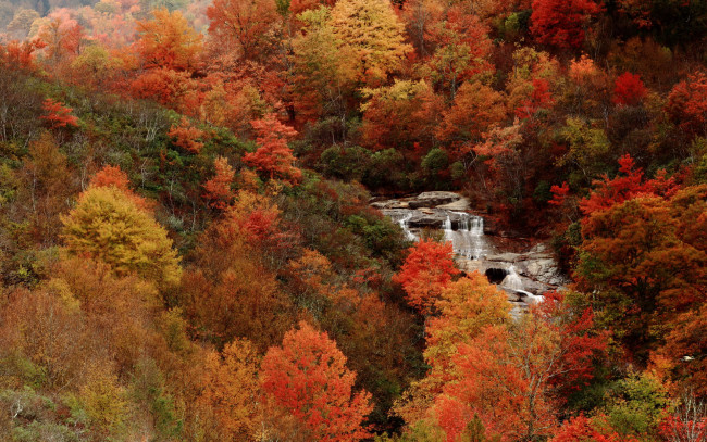 Обои картинки фото природа, водопады, лес, осень, водопад