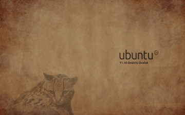 обоя компьютеры, ubuntu linux, кот, фон, логотип