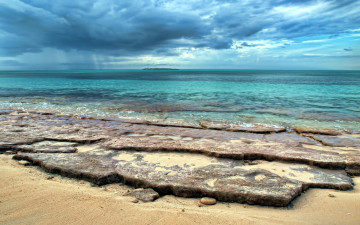 Картинка природа побережье дождь туи камни берег море