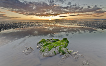 Картинка природа побережье отражение камень облака водоросли закат поросль мель море