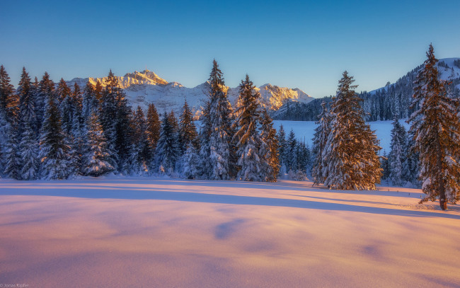 Обои картинки фото природа, зима, дерево, закат, снег, гора
