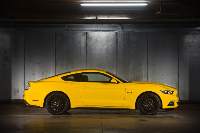 Обои картинки фото автомобили, ford, 2015г, za-spec, fastback, mustang, gt, желтый