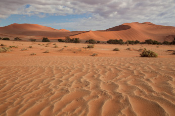 Картинка природа пустыни пески