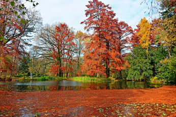 Картинка природа парк листопад осень водоем