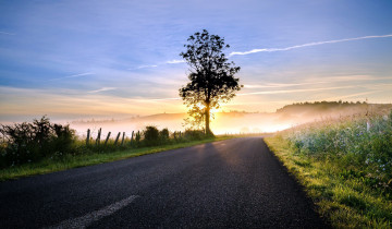 Картинка природа дороги туман шоссе