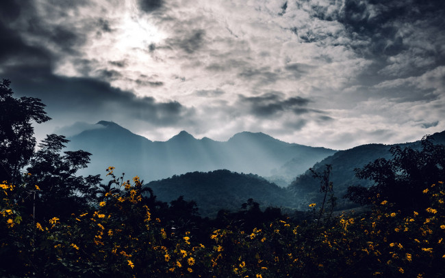Обои картинки фото природа, горы, туман, вершины