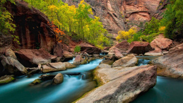 Картинка природа реки озера скалы юта река вирджин сша камни деревья осень