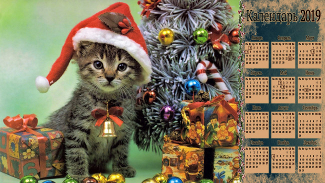 Обои картинки фото календари, праздники,  салюты, игрушка, подарок, елка, шапка, кошка
