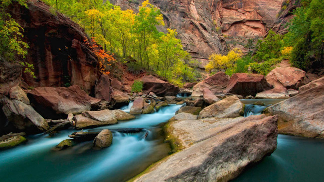 Обои картинки фото природа, реки, озера, скалы, юта, река, вирджин, сша, камни, деревья, осень
