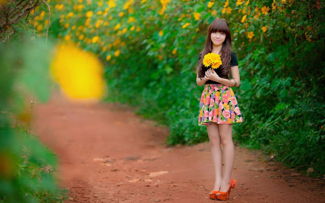 Обои картинки фото девушки, - азиатки, цветы, мини, юбка